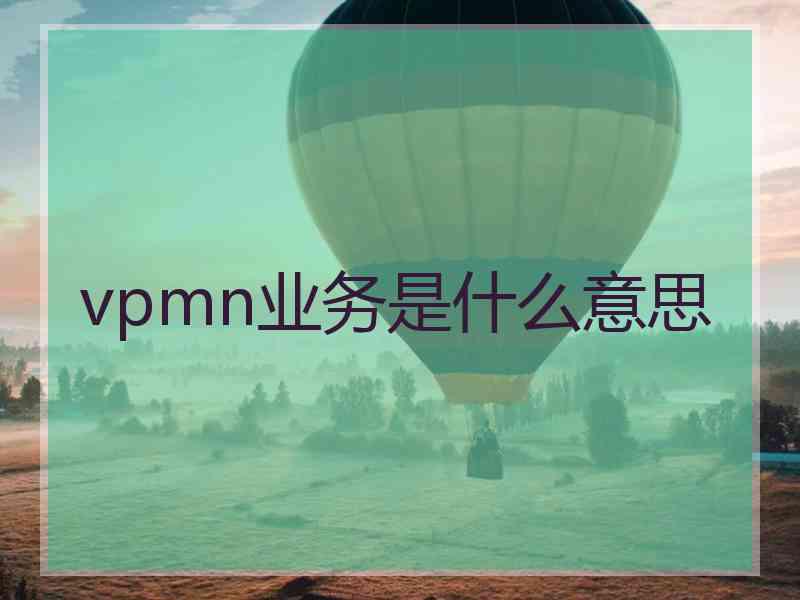 vpmn业务是什么意思