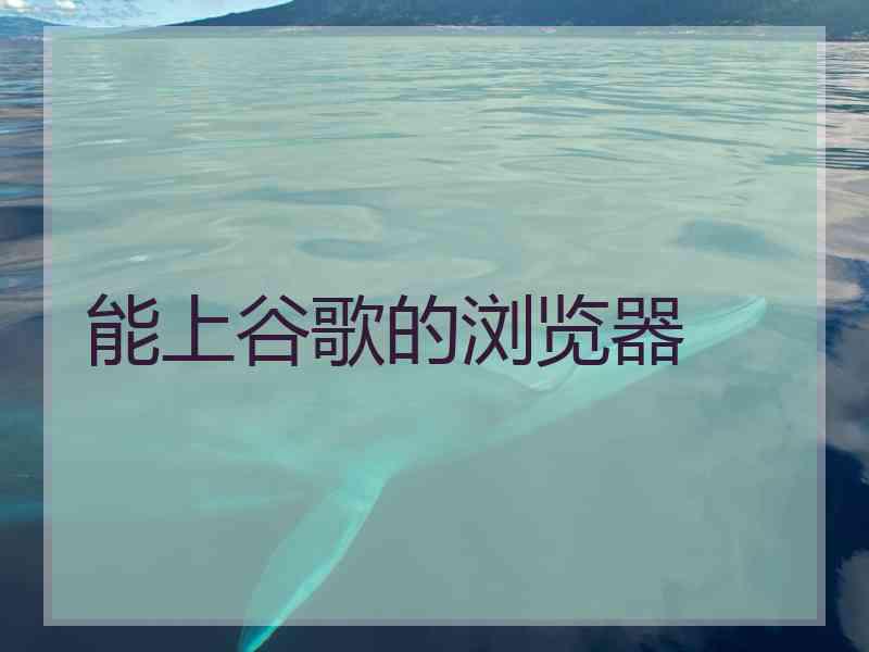 能上谷歌的浏览器