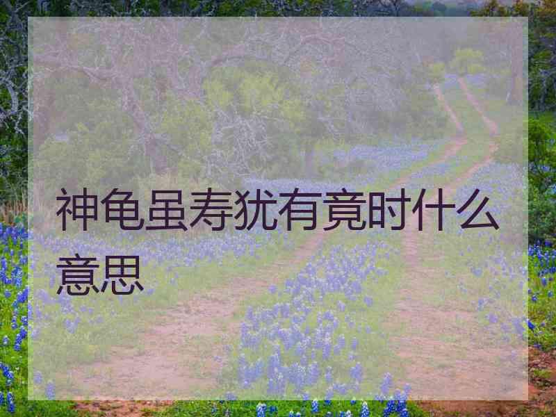 神龟虽寿犹有竟时什么意思