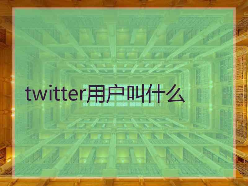 twitter用户叫什么