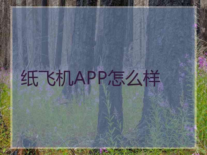 纸飞机APP怎么样