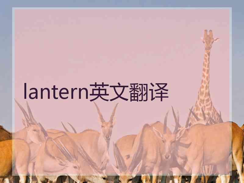 lantern英文翻译