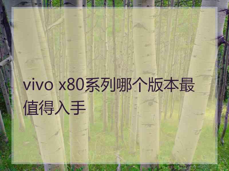 vivo x80系列哪个版本最值得入手