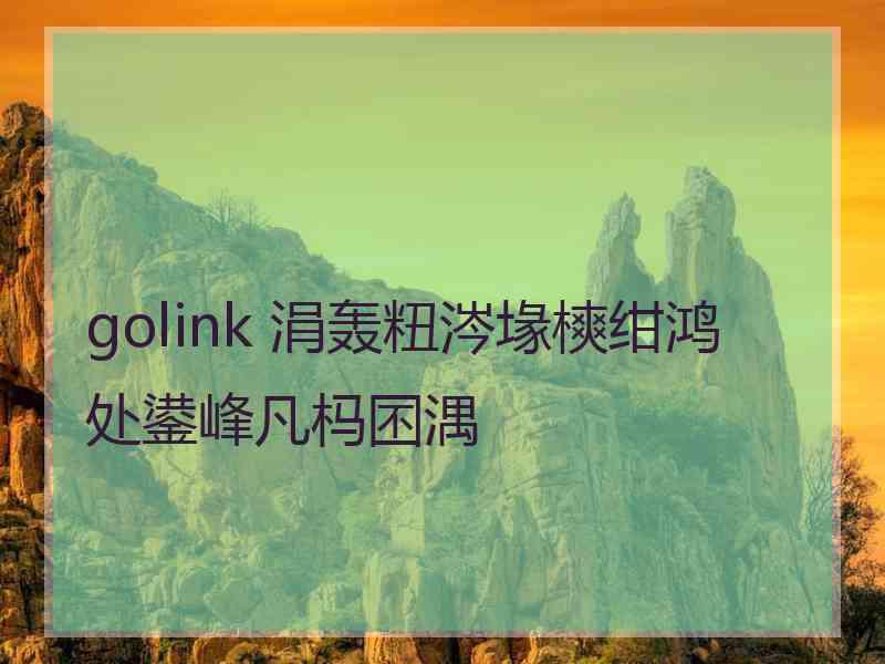 golink 涓轰粈涔堟樉绀鸿处鍙峰凡杩囨湡