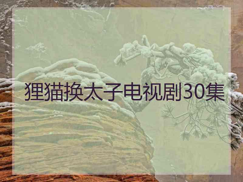 狸猫换太子电视剧30集