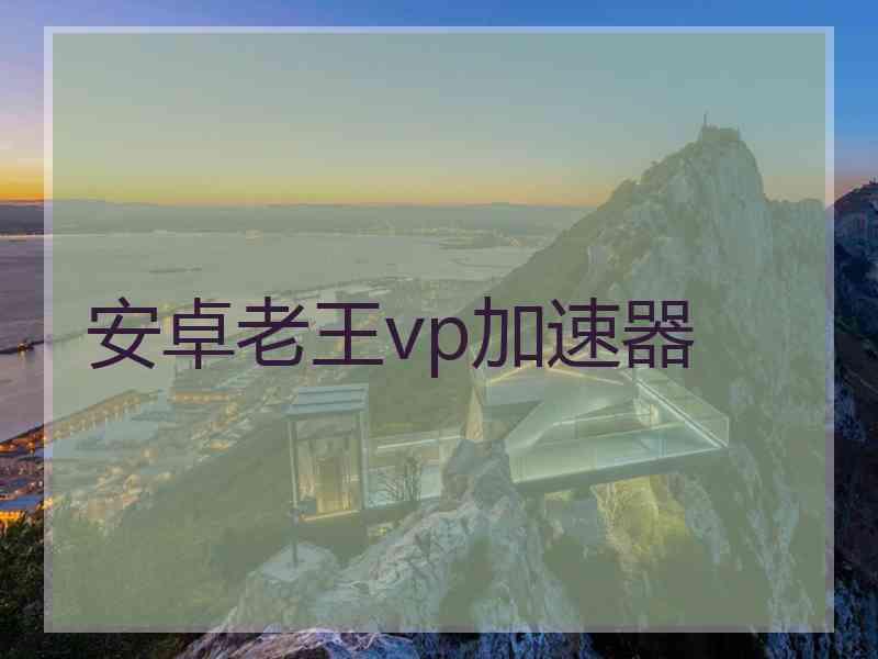 安卓老王vp加速器