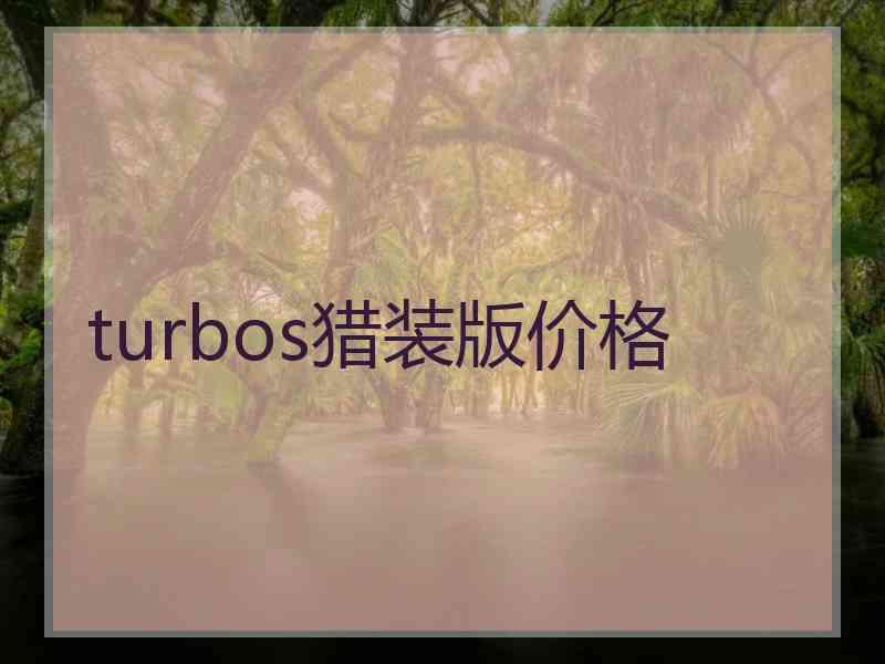 turbos猎装版价格