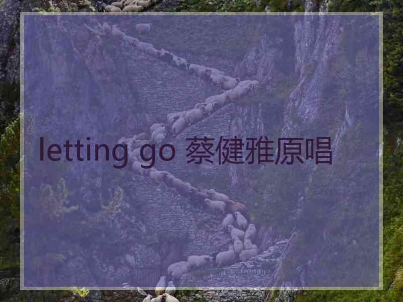 letting go 蔡健雅原唱