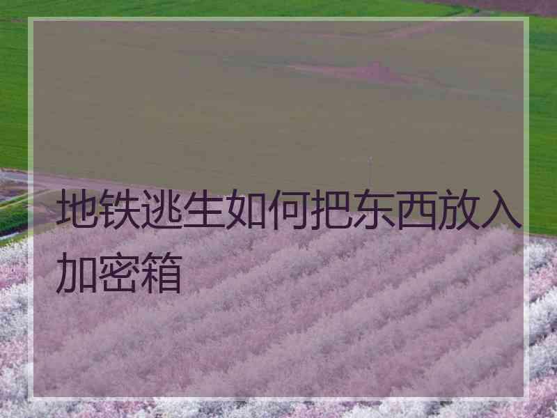 地铁逃生如何把东西放入加密箱