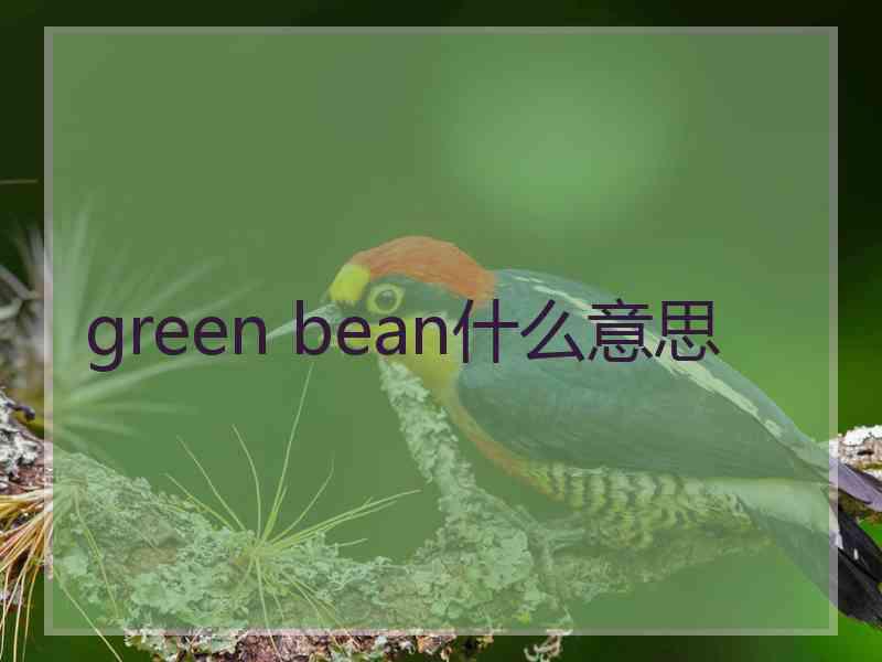 green bean什么意思