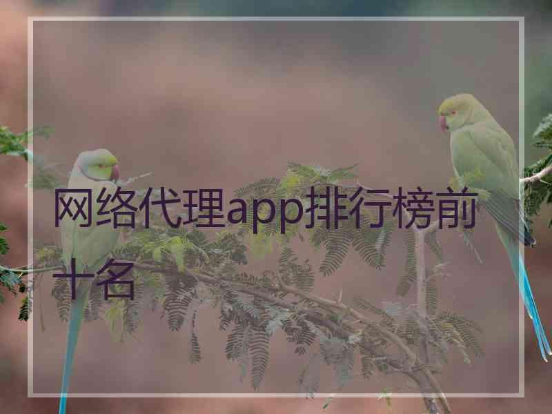 网络代理app排行榜前十名