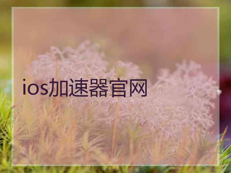 ios加速器官网