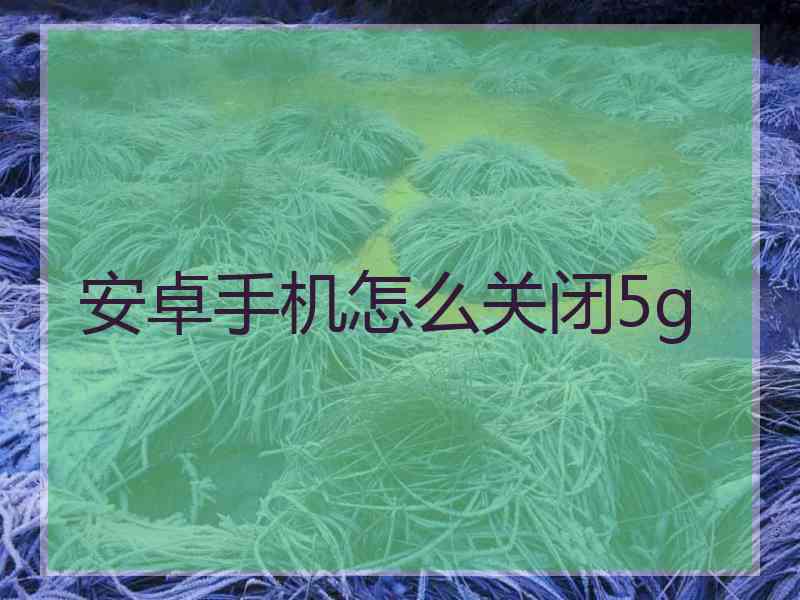 安卓手机怎么关闭5g