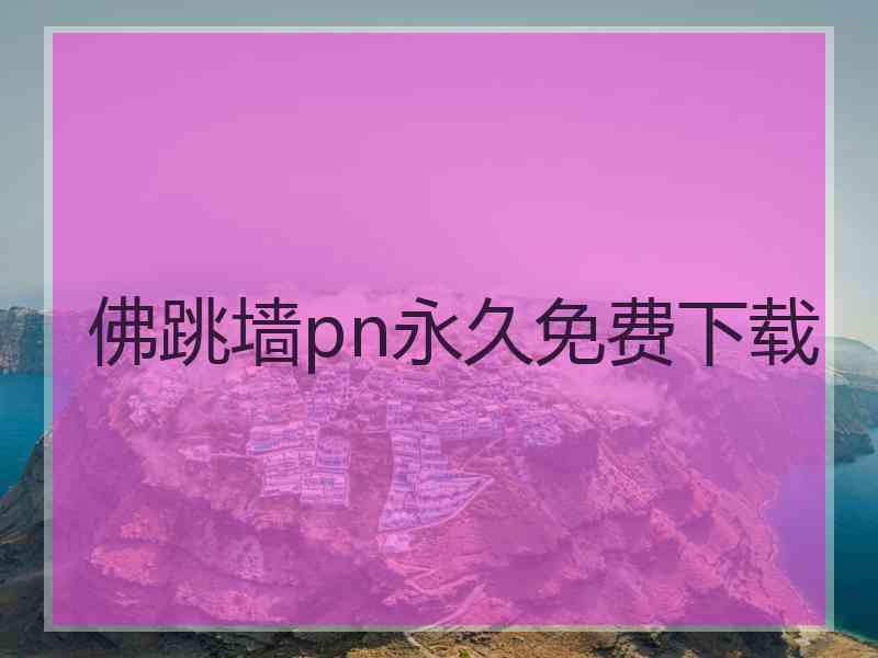 佛跳墙pn永久免费下载