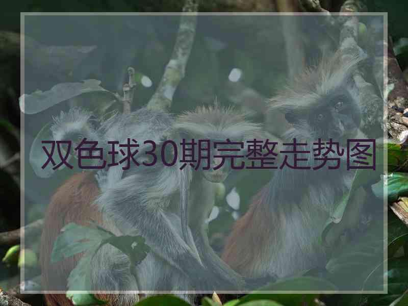 双色球30期完整走势图