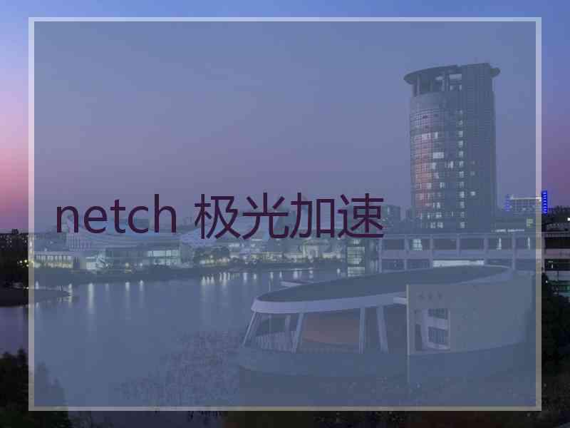 netch 极光加速