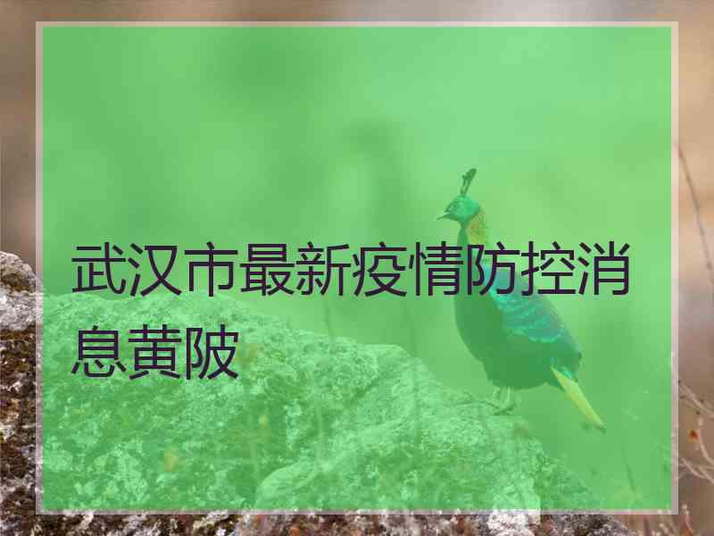 武汉市最新疫情防控消息黄陂