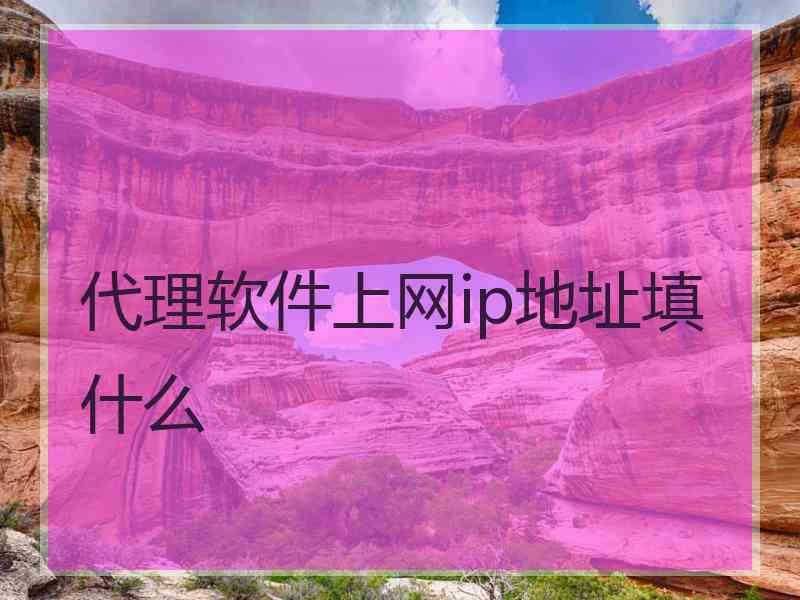 代理软件上网ip地址填什么