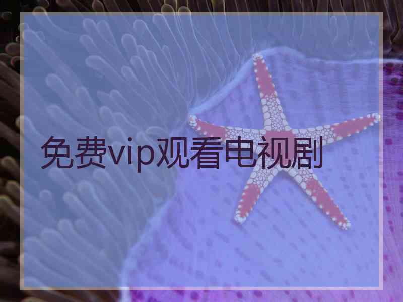 免费vip观看电视剧