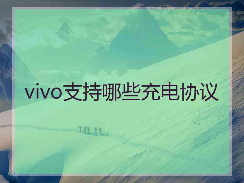 vivo支持哪些充电协议