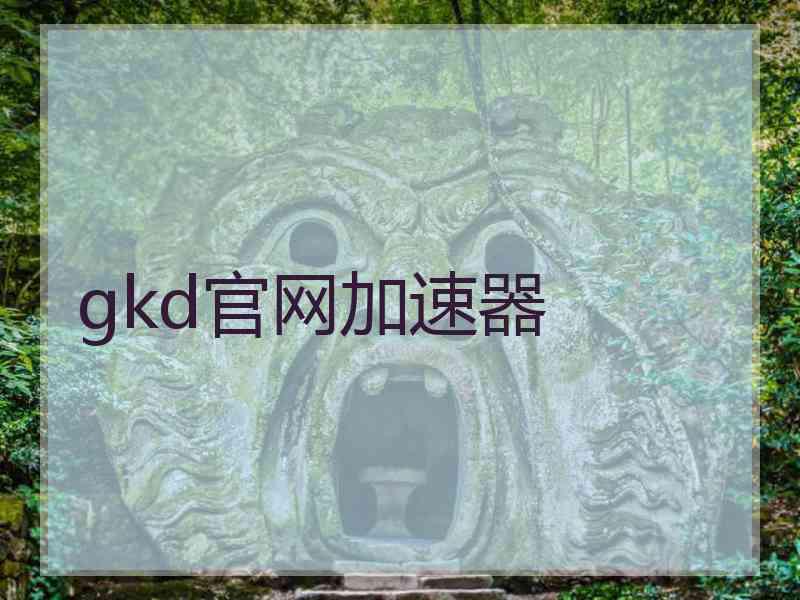 gkd官网加速器