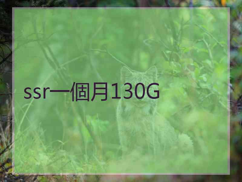 ssr一個月130G