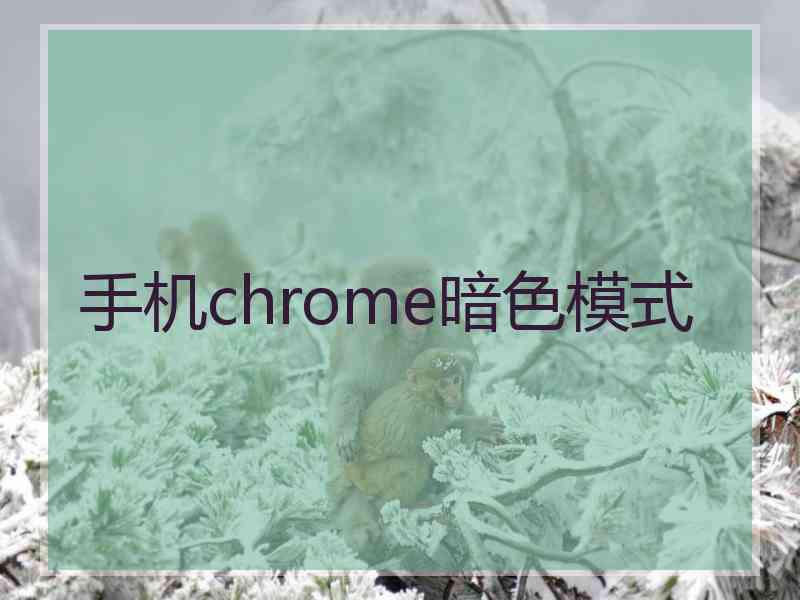 手机chrome暗色模式