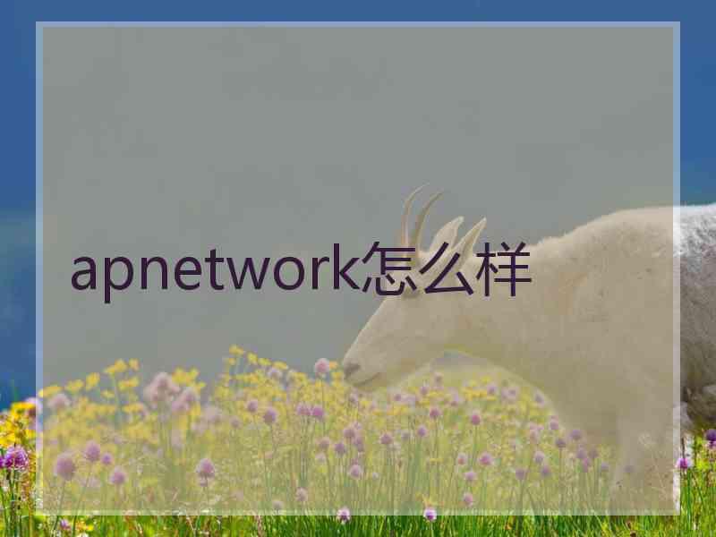 apnetwork怎么样