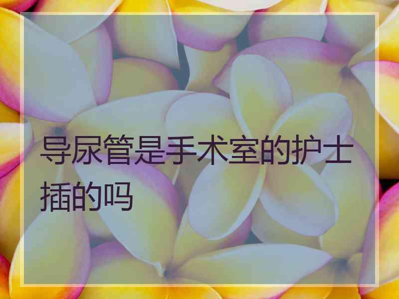 导尿管是手术室的护士插的吗