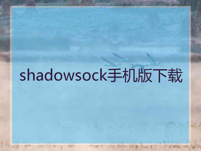 shadowsock手机版下载