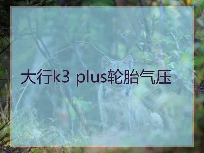 大行k3 plus轮胎气压