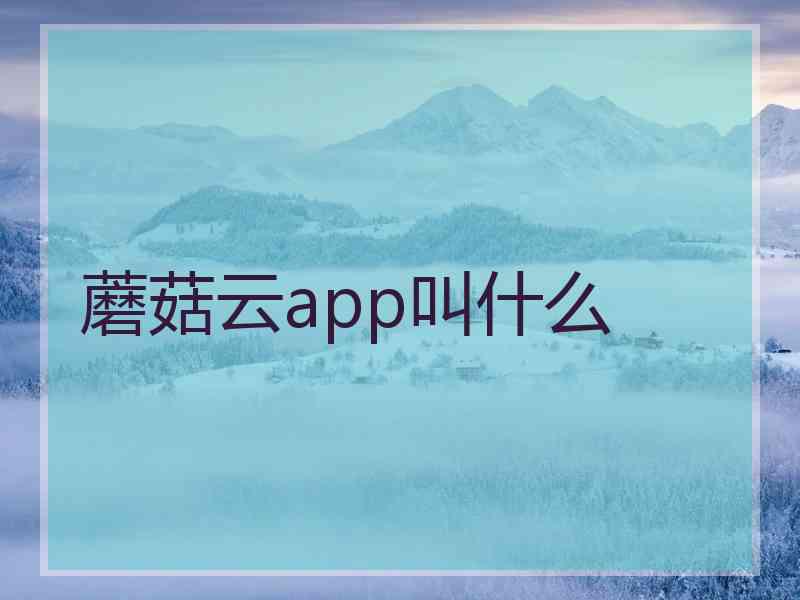 蘑菇云app叫什么