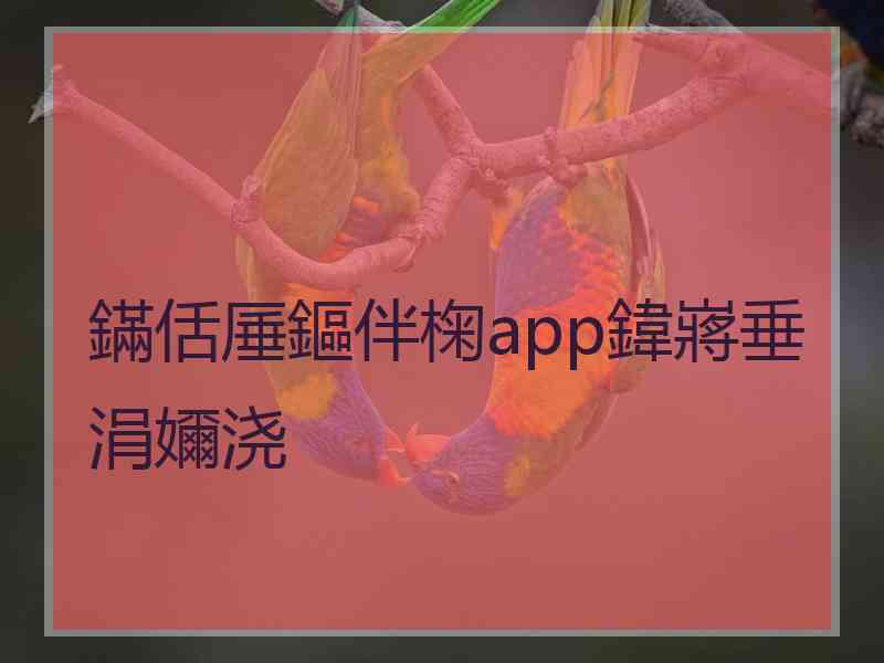 鏋佸厜鏂伴椈app鍏嶈垂涓嬭浇