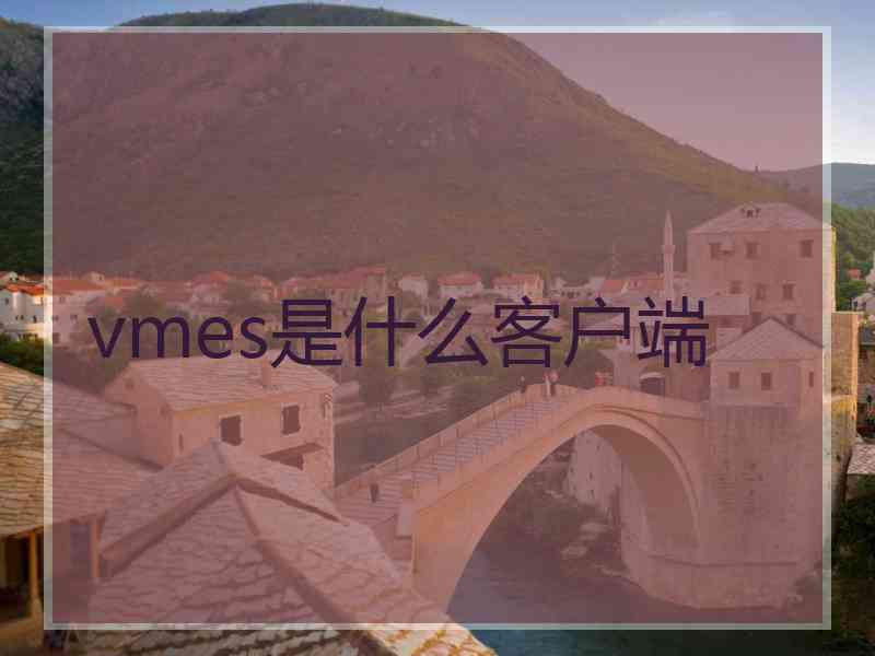 vmes是什么客户端