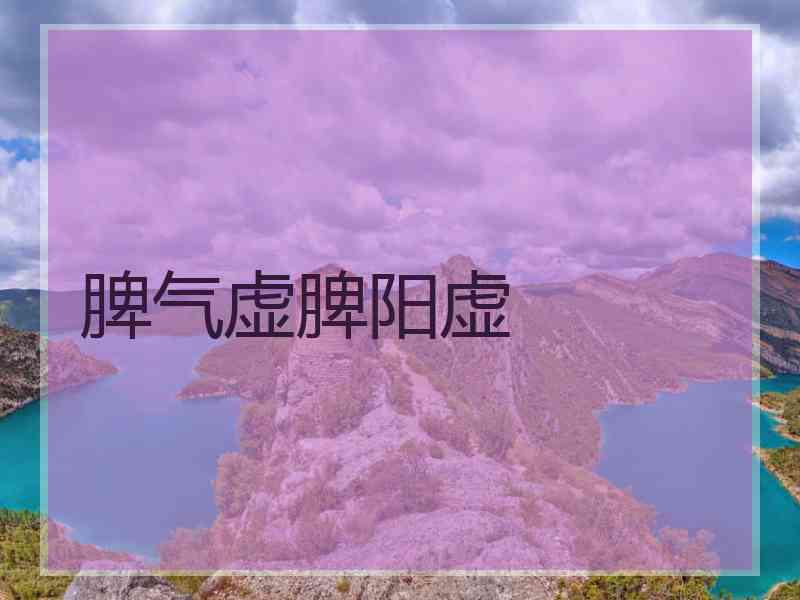 脾气虚脾阳虚