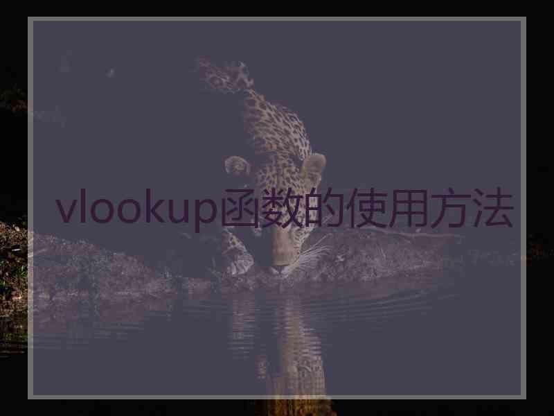 vlookup函数的使用方法