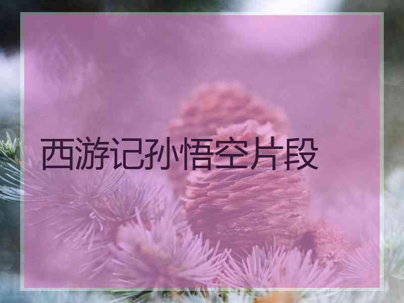 西游记孙悟空片段