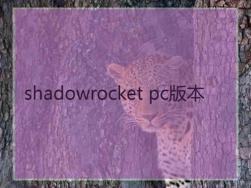 shadowrocket pc版本
