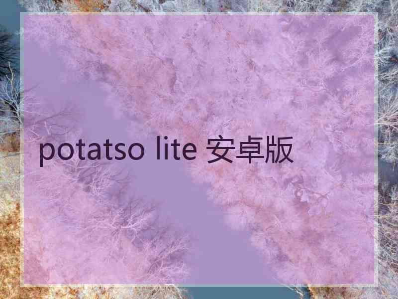 potatso lite 安卓版