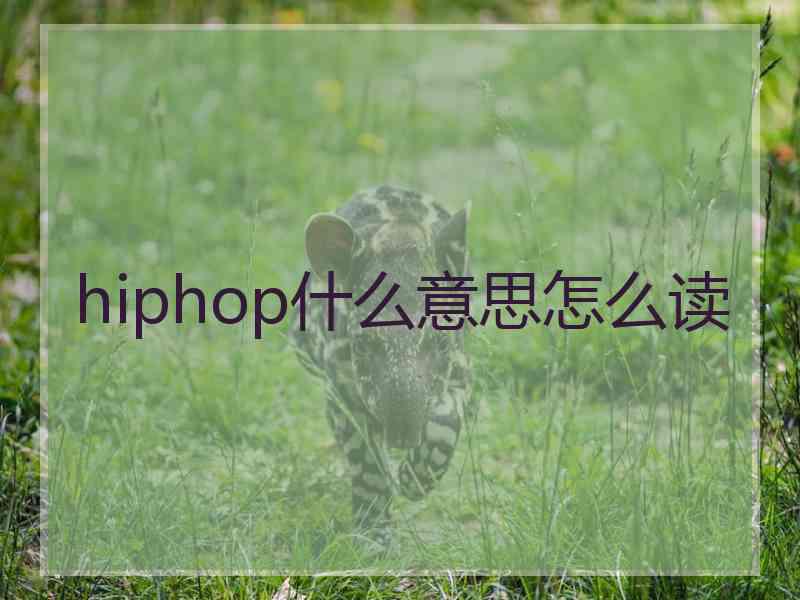 hiphop什么意思怎么读