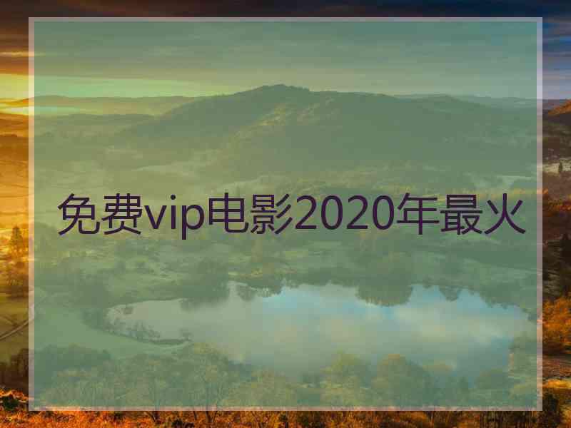 免费vip电影2020年最火