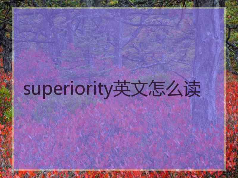 superiority英文怎么读