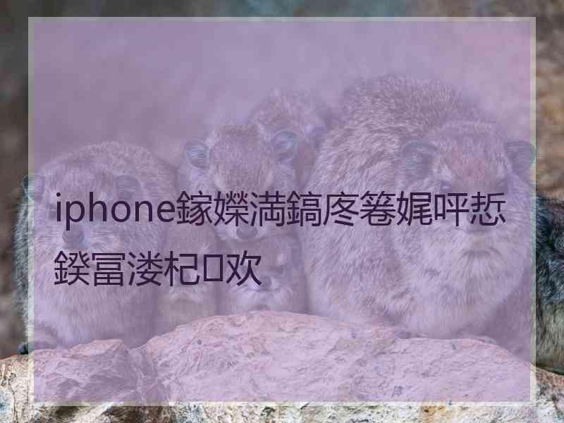 iphone鎵嬫満鎬庝箞娓呯悊鍨冨溇杞欢