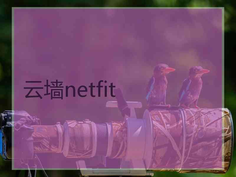 云墙netfit