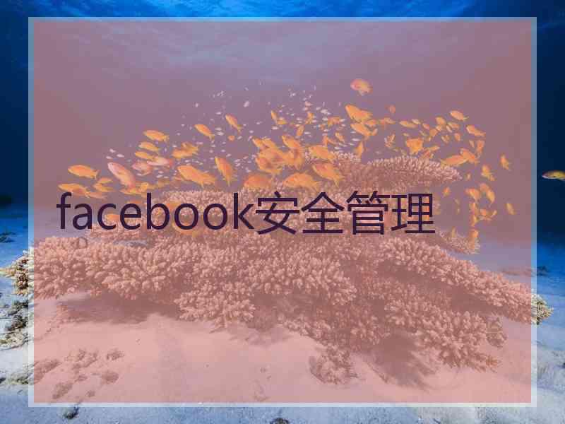 facebook安全管理