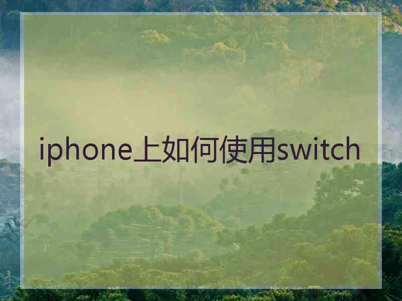 iphone上如何使用switch