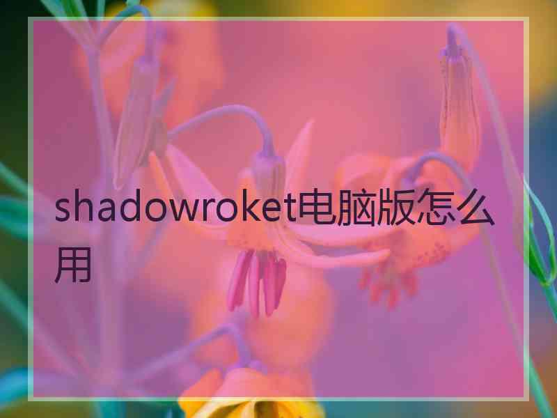 shadowroket电脑版怎么用