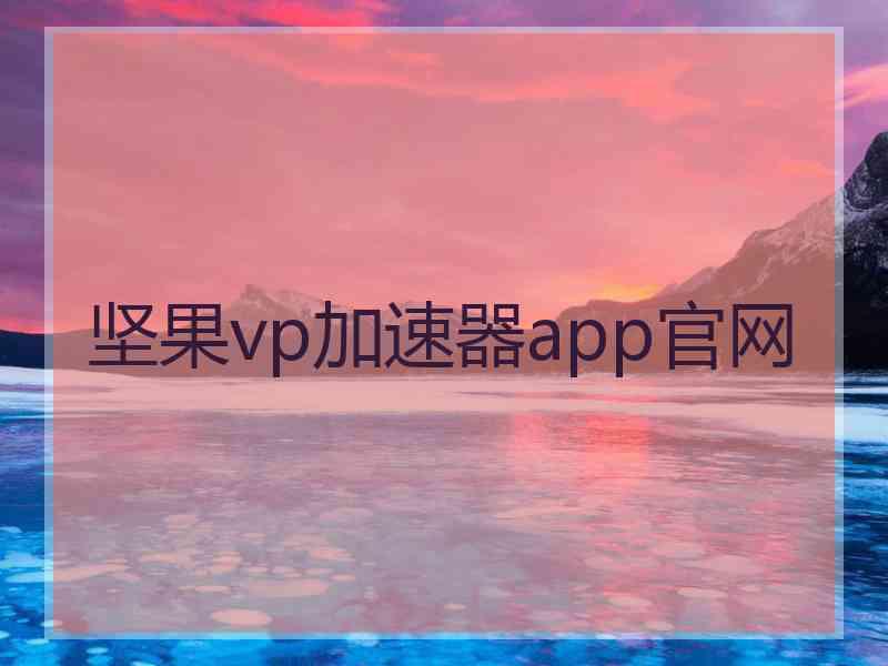 坚果vp加速器app官网