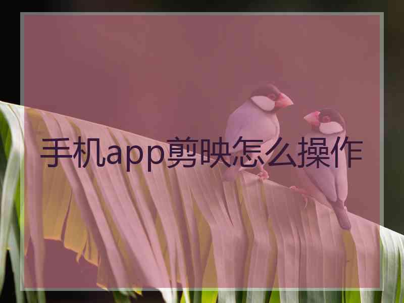 手机app剪映怎么操作