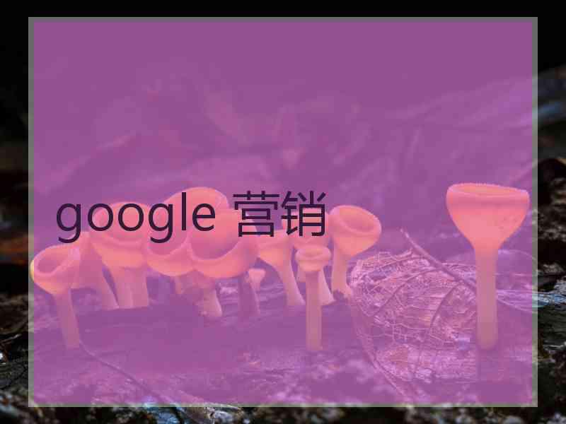 google 营销